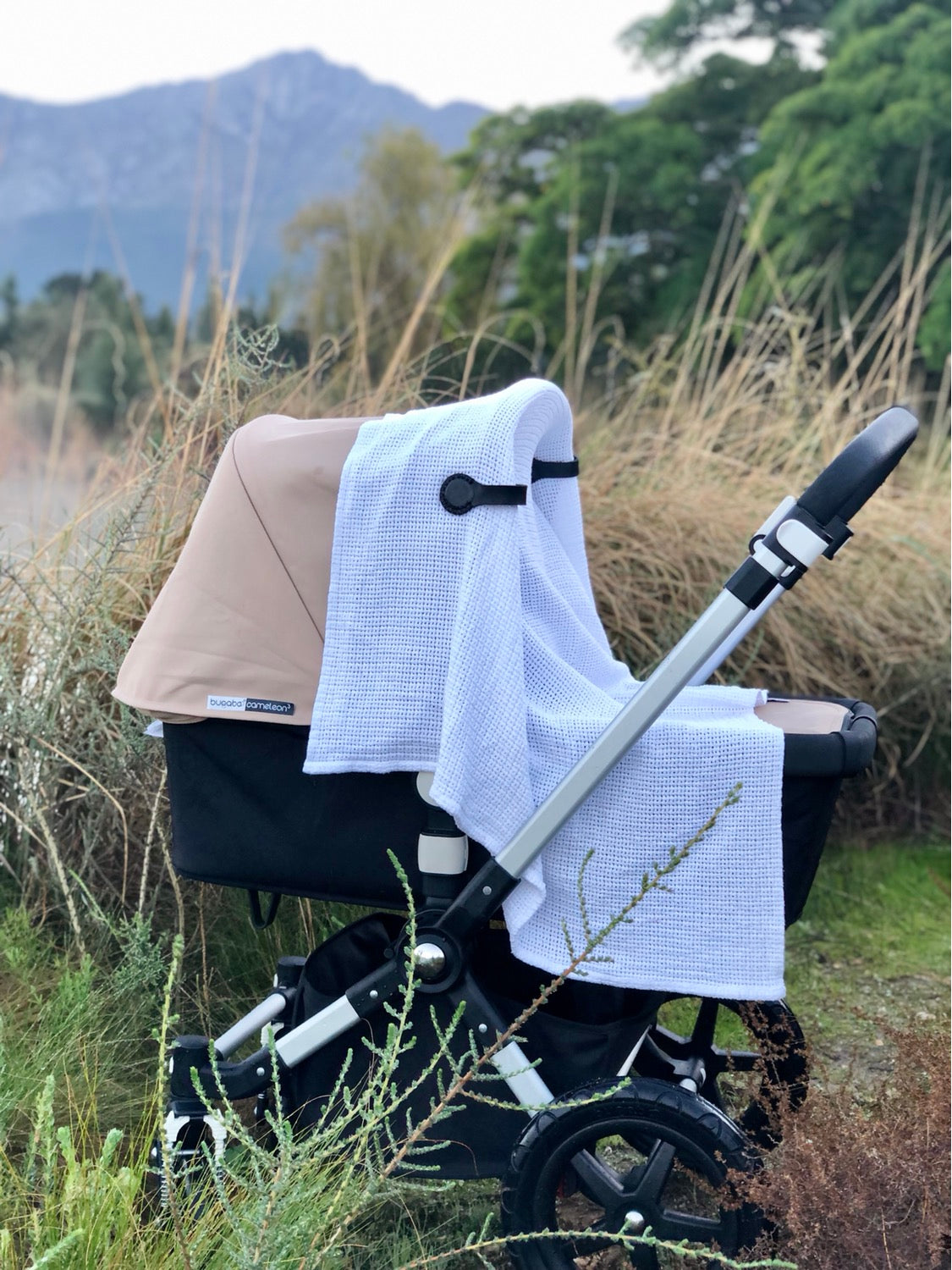 Stella Clip - Swartland Fields - Black with Black stitching - Motherhood