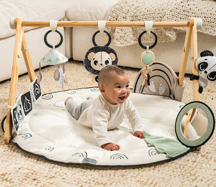 Tiny Love Black & White Décor Luxe Developmental Gymini®