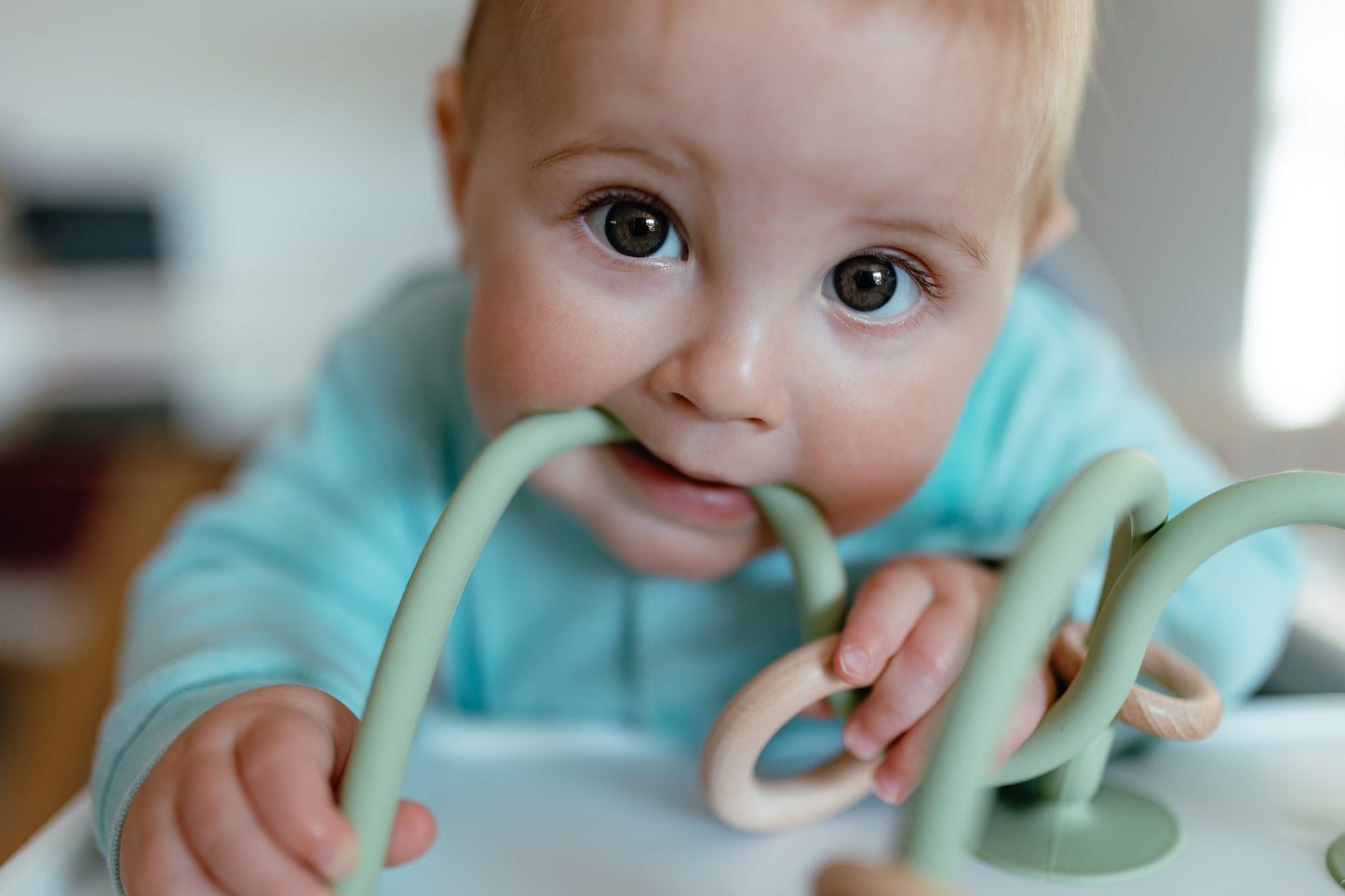High Chair Toy - Motherhood