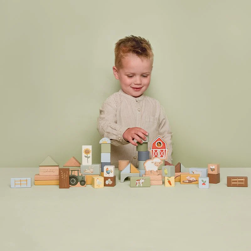Little Dutch Building Blocks