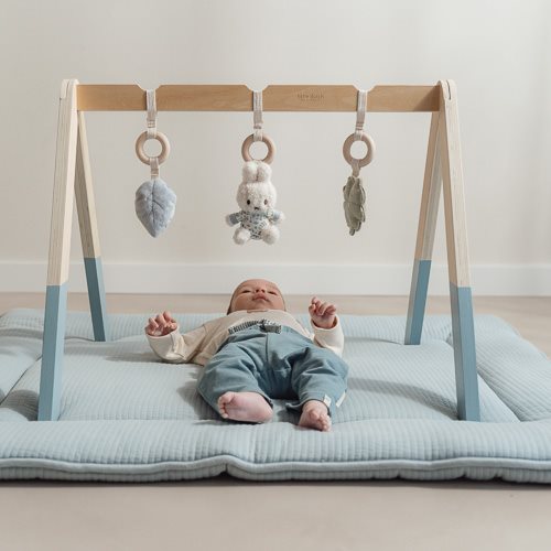Little Dutch Miffy Babygym Lucky Leaves