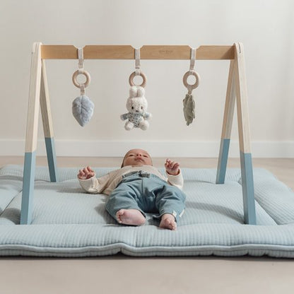 Little Dutch Miffy Babygym Lucky Leaves