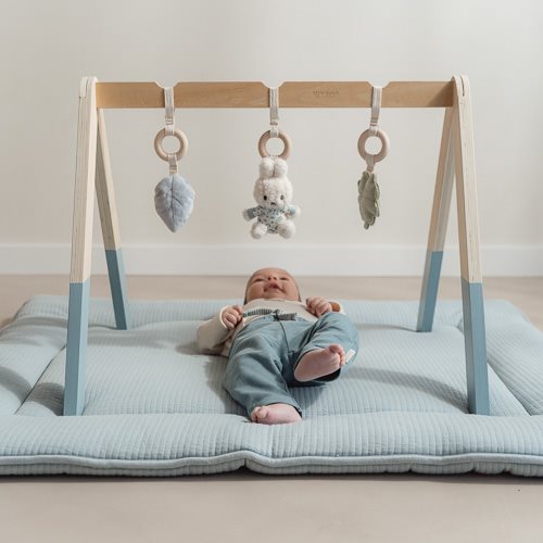 Little Dutch Miffy Babygym Lucky Leaves