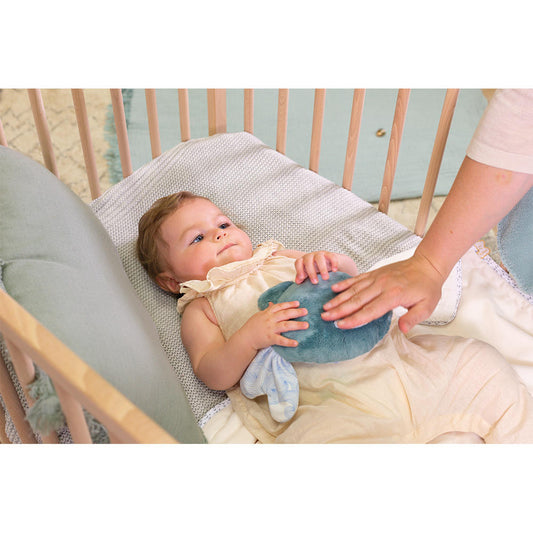 Kaloo - Wellness Soft Toy with Hot & Cold Pack - Starfish - 22cm
