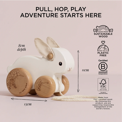 Le Toy Van - Pull Along Hopping Bunny Rabbit