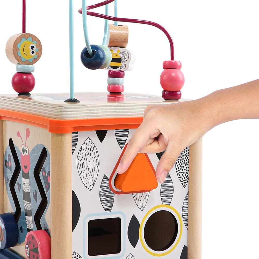 TopBright - 5-in-1 Insect Play Cube: Montessori Activity Toy