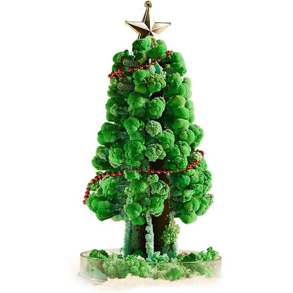 Mideer - Magic Crystal Growing Christmas Tree