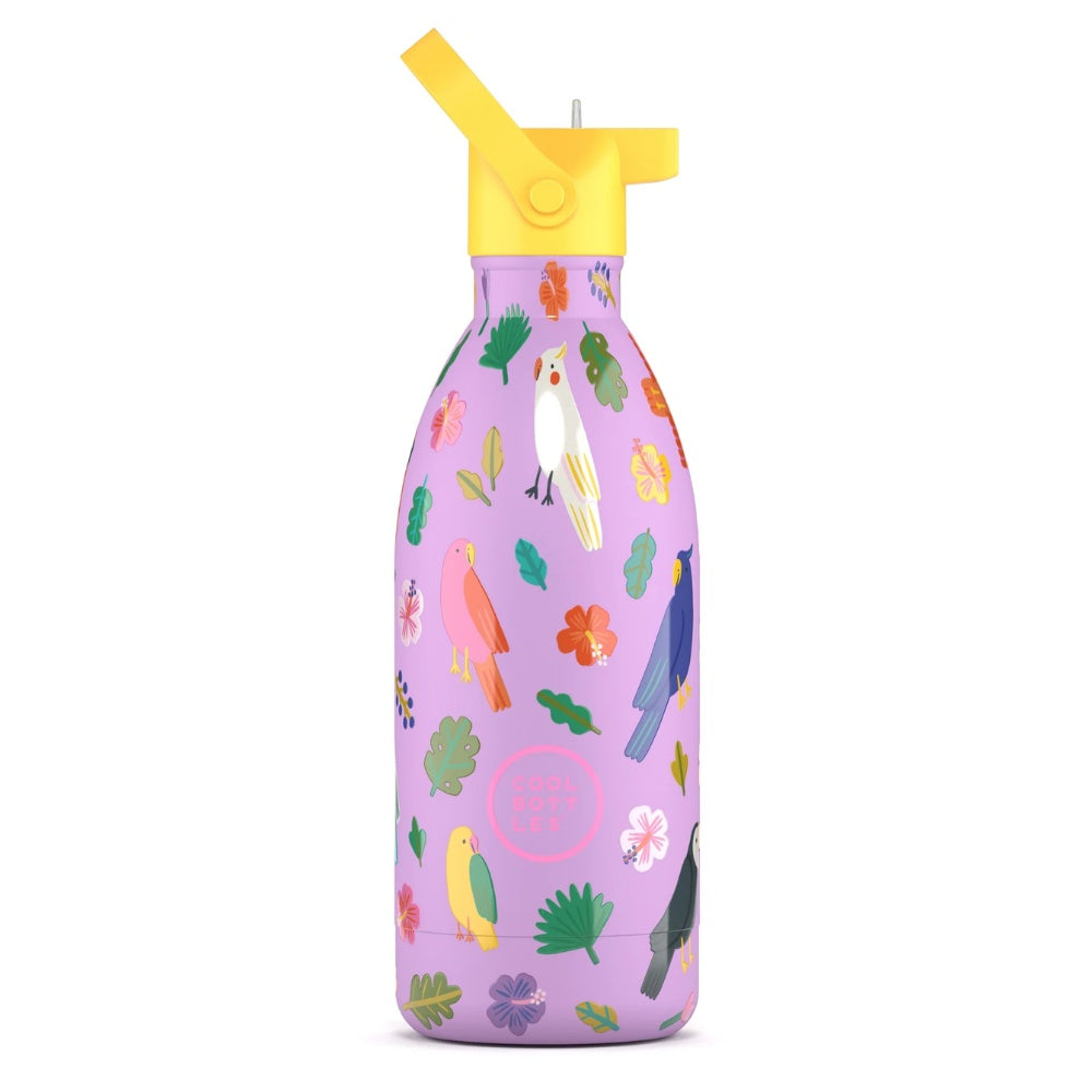 Cool Bottles - Kids Triple-Insulated Water Bottle - Fly Free 500ml