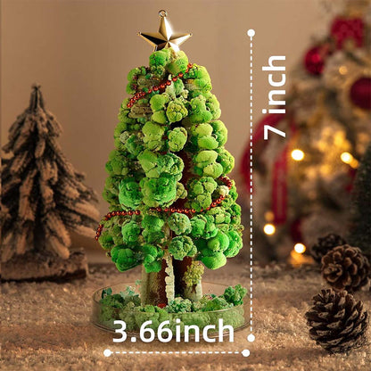 Mideer - Magic Crystal Growing Christmas Tree
