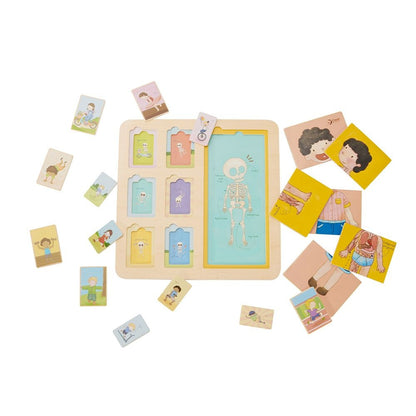 Classic World - Layered Wooden Body Puzzle - 19pcs