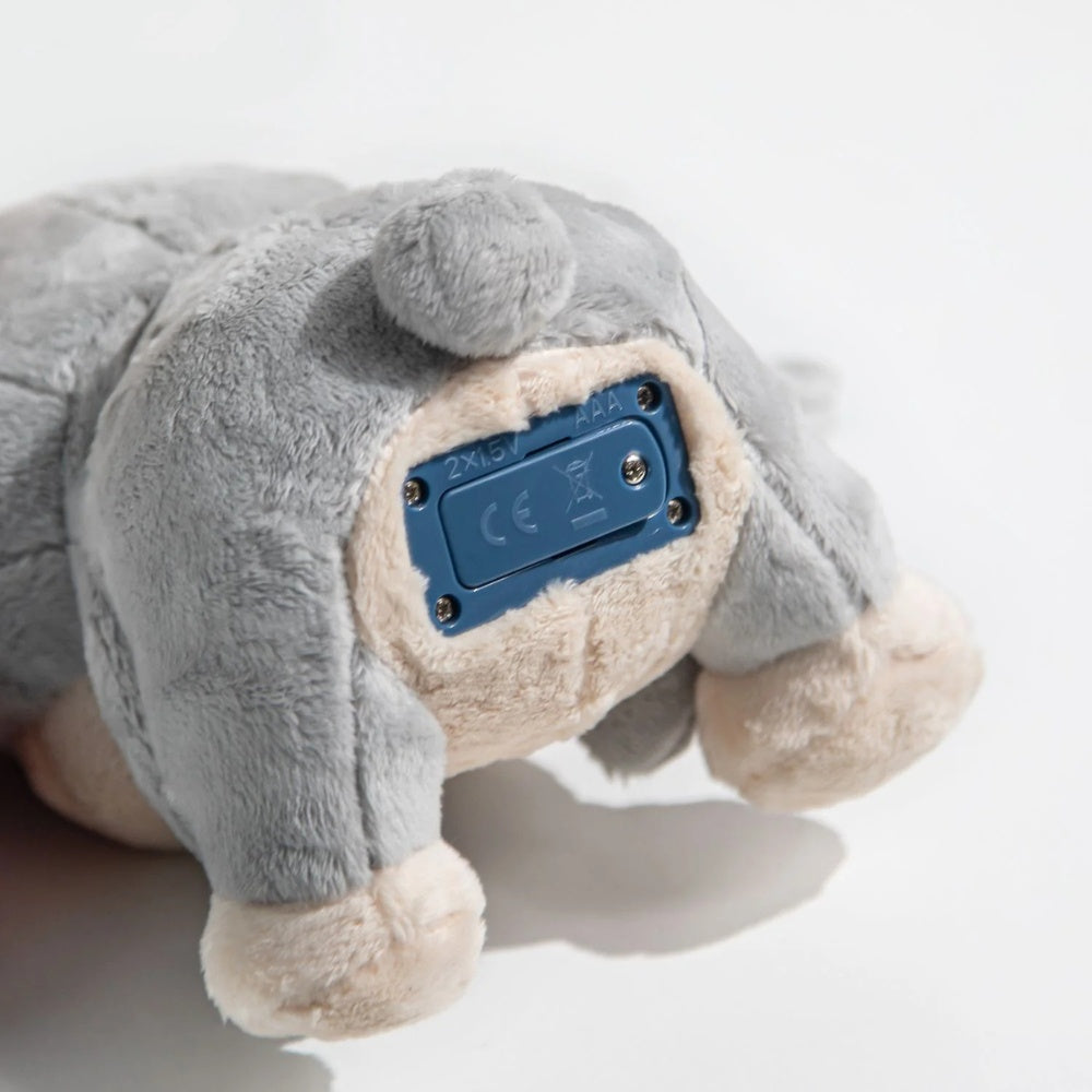 TopBright - Pretend Play Pet Care Kit - Interactive Bunny with Sound & Lights