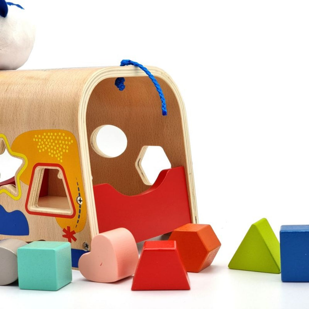 TookyToy - Wooden Shape Sorter with Blocks
