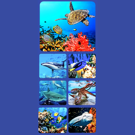 Mideer - 3D Filmscope Picture Viewer - Educational Exploration Set