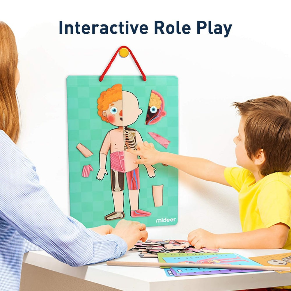Mideer - Magnetic Body Puzzle - Kids Anatomy Learning Activity
