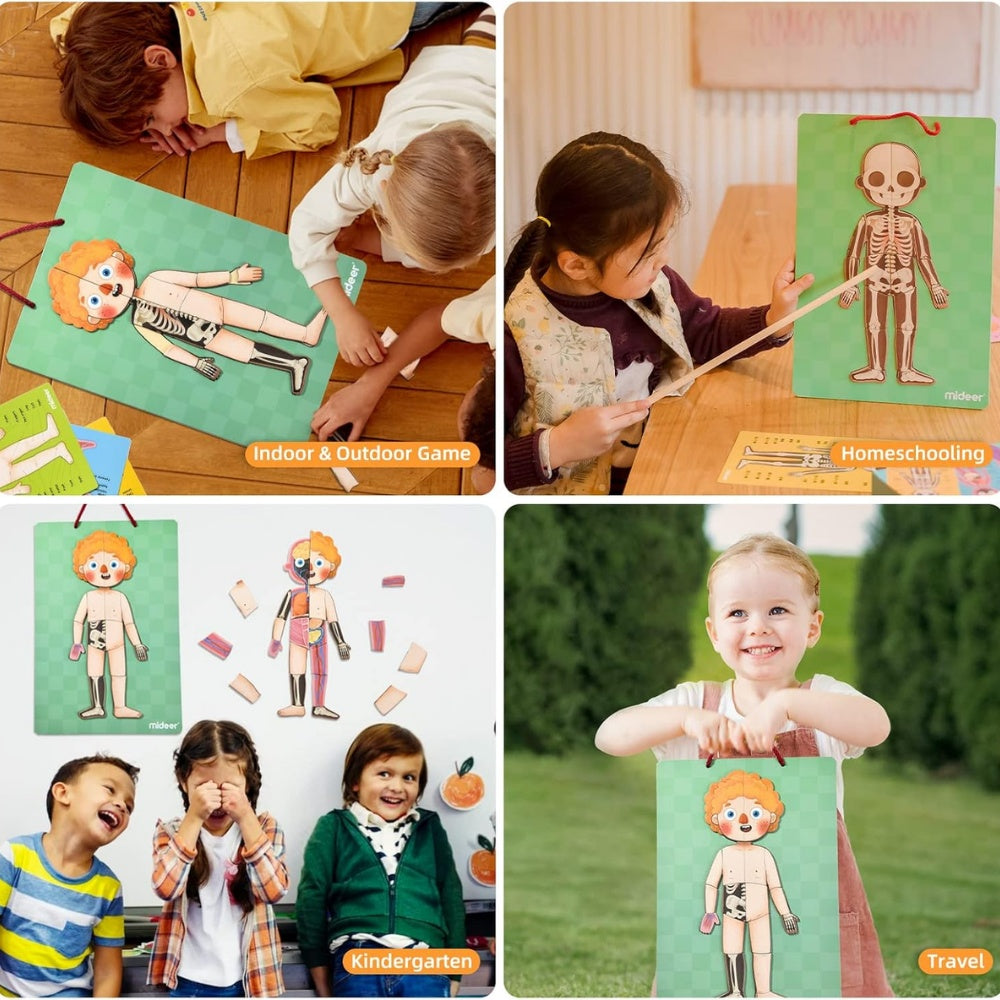 Mideer - Magnetic Body Puzzle - Kids Anatomy Learning Activity