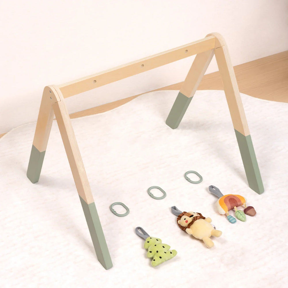 TookyToy - Portable Baby Gym & Mobile