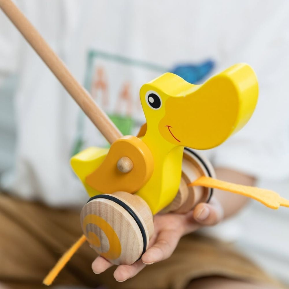 Classic World - Pull & Push Toy - Duck