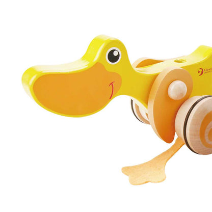 Classic World - Pull & Push Toy - Duck