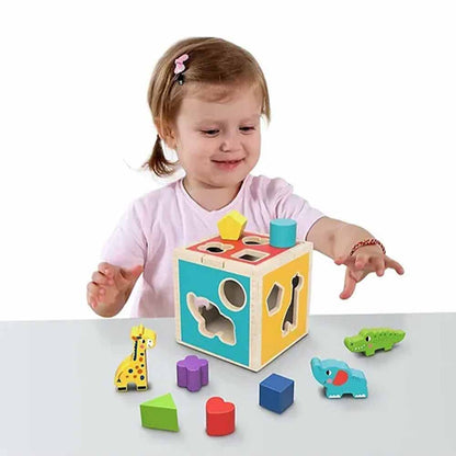TookyToy - Animal Shape Sorter with Wooden Blocks