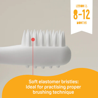 Pigeon - Trainer Toothbrush Set