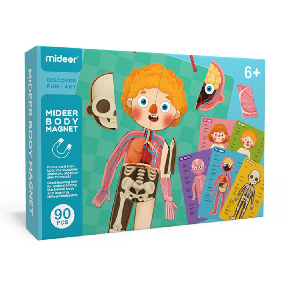 Mideer - Magnetic Body Puzzle - Kids Anatomy Learning Activity
