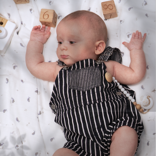 Echo Baby Muslin Swaddle Blanket