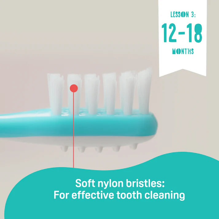 Pigeon - Trainer Toothbrush Set