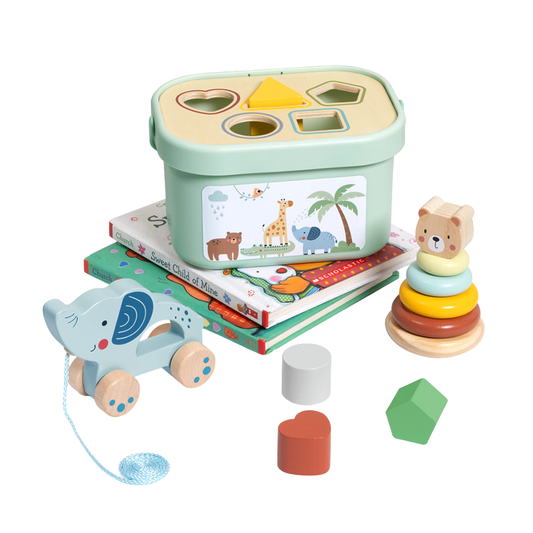 TookyToy - 3-in-1 Activity Set - Shape Sorter Stacker & Pull Along Toy