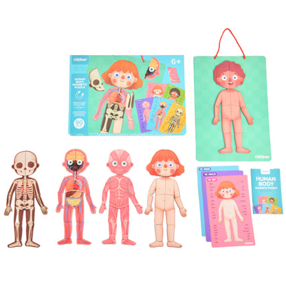 Mideer - Magnetic Body Puzzle - Kids Anatomy Learning Activity