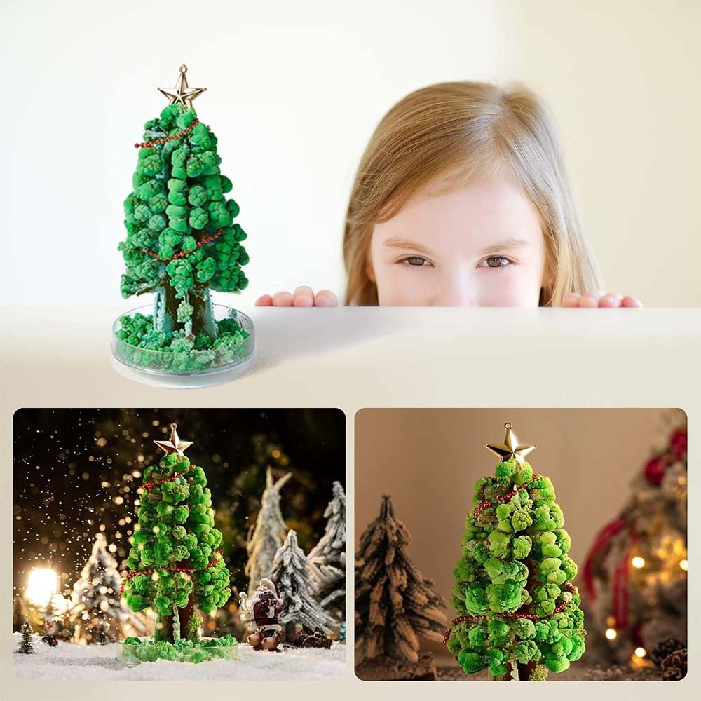 Mideer - Magic Crystal Growing Christmas Tree