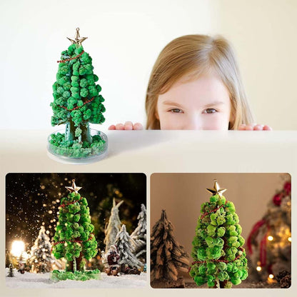 Mideer - Magic Crystal Growing Christmas Tree