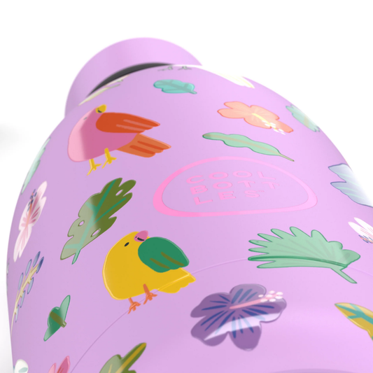 Cool Bottles - Kids Triple-Insulated Water Bottle - Fly Free 500ml