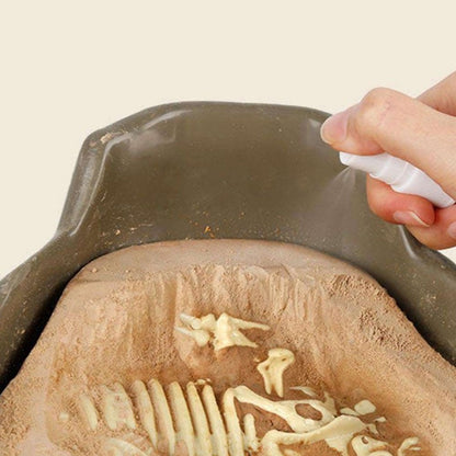 TopBright - Dinosaur Fossil Dig Kit - Tyrannosaurus Rex
