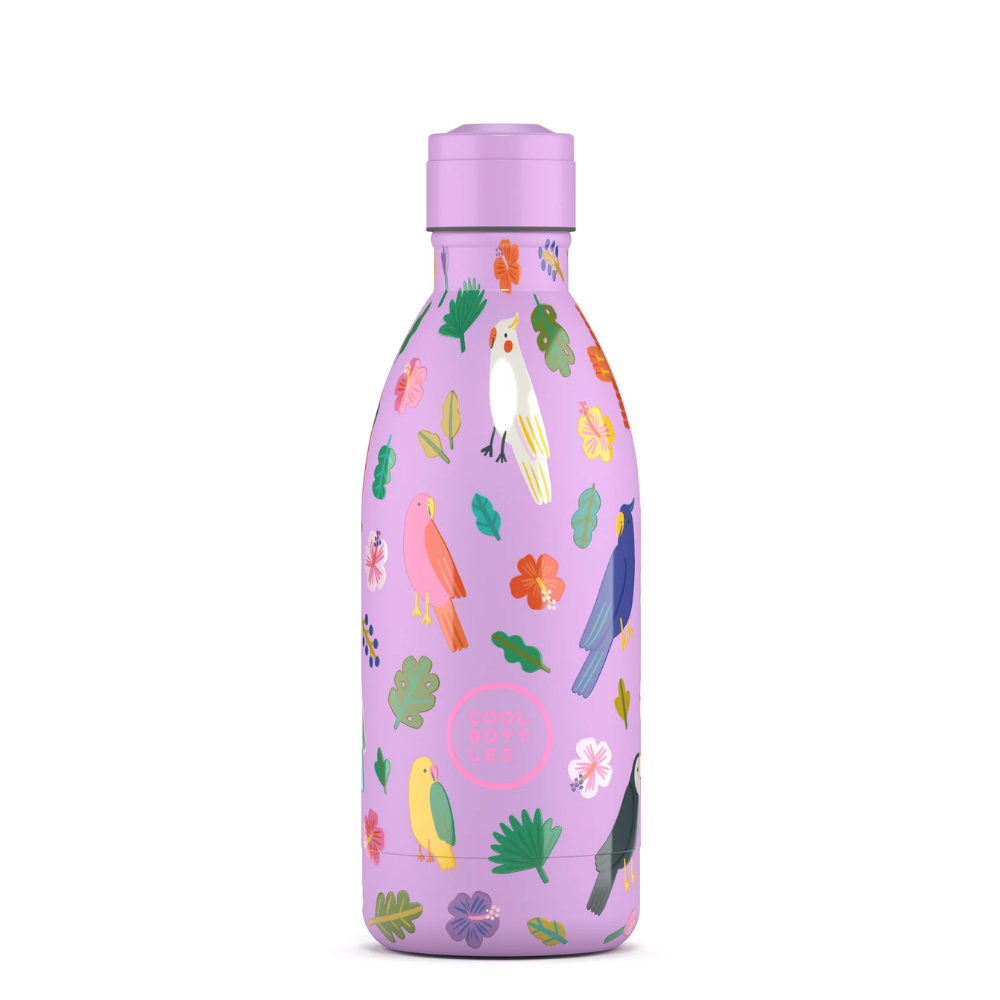 Cool Bottles - Kids Triple-Insulated Water Bottle - Fly Free 500ml