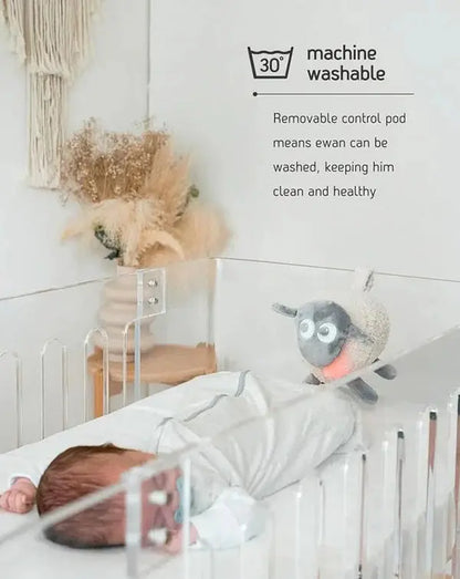 Ewan The Sheep - Deluxe - Motherhood