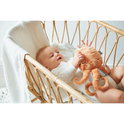 Kaloo - Wellness Soft Toy with Hot & Cold Pack - Octopus - 28cm