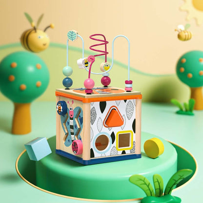 TopBright - 5-in-1 Insect Play Cube: Montessori Activity Toy