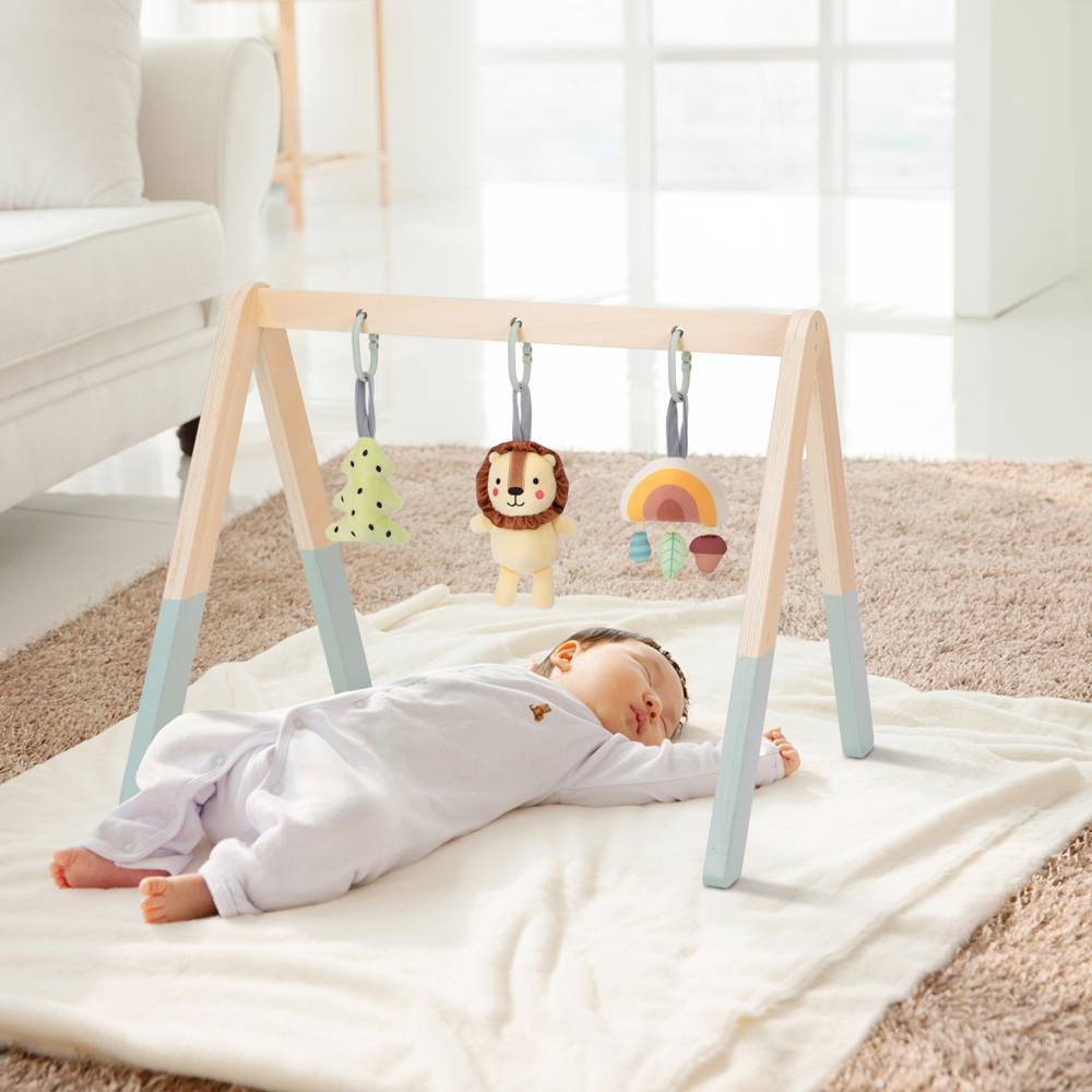 TookyToy - Portable Baby Gym & Mobile - Motherhood