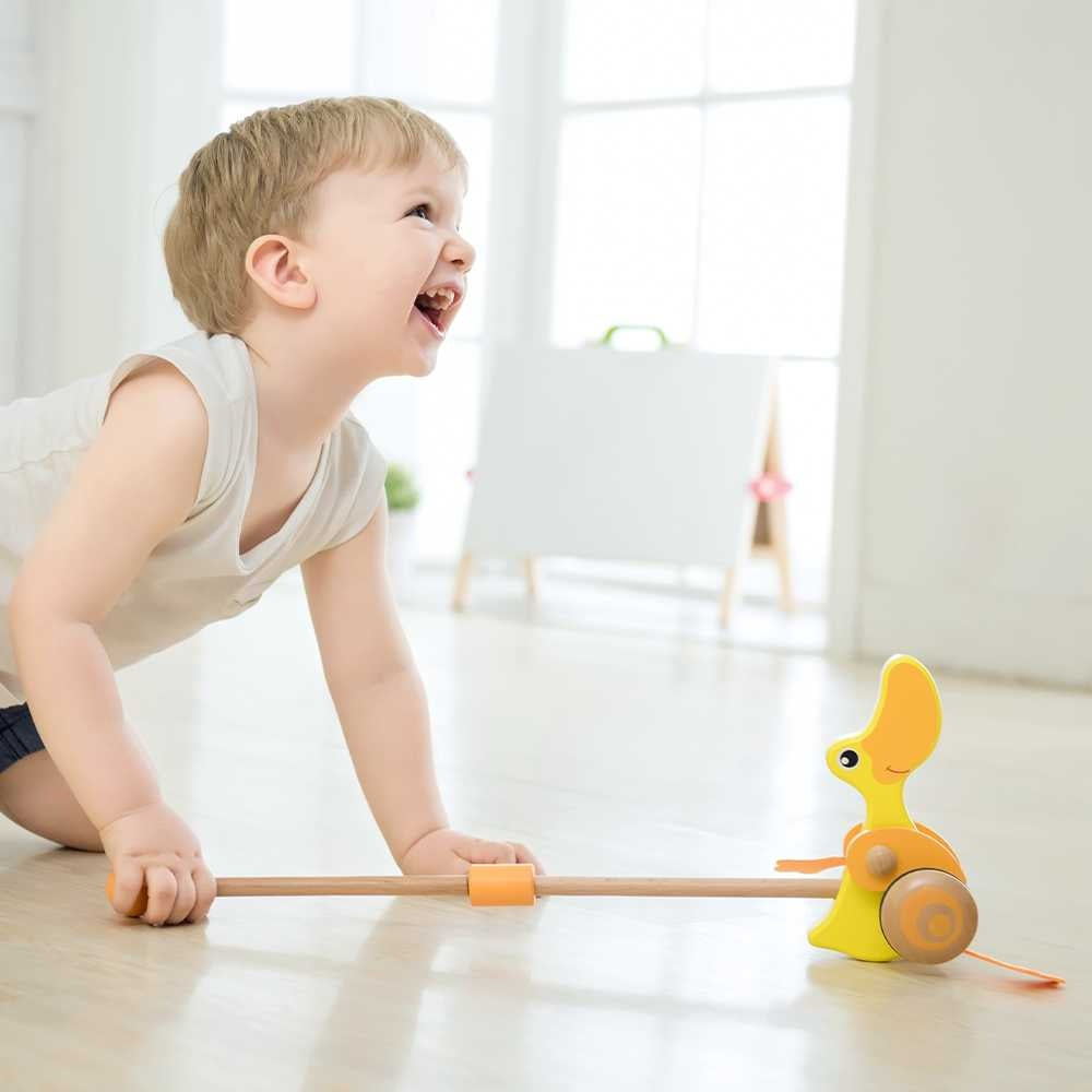 Classic World - Pull & Push Toy - Duck