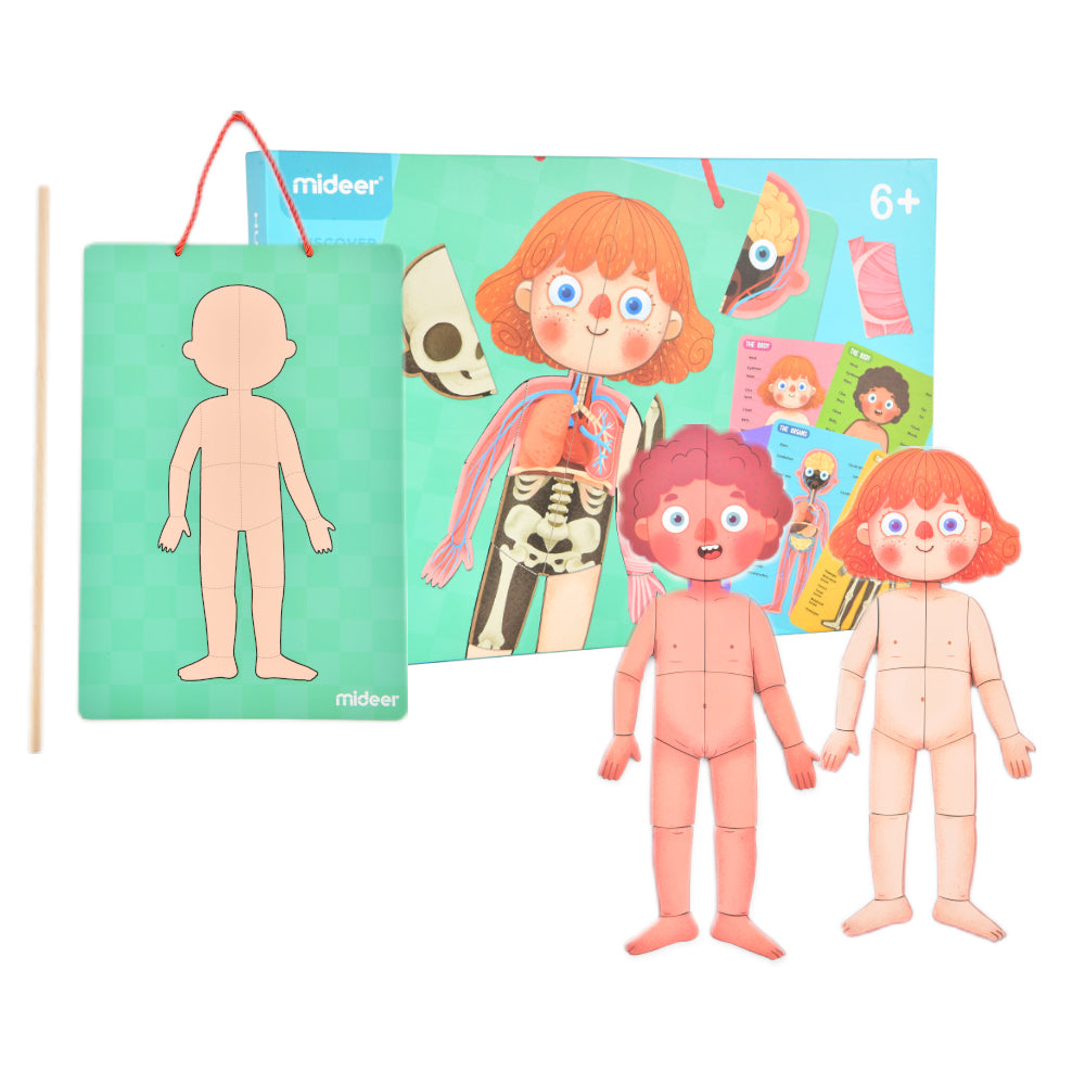 Mideer - Magnetic Body Puzzle - Kids Anatomy Learning Activity