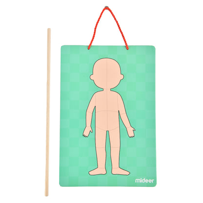 Mideer - Magnetic Body Puzzle - Kids Anatomy Learning Activity