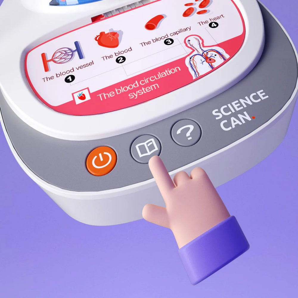 TopBright - My Body Voice Pedia Interactive Talking Anatomy Model for Kids