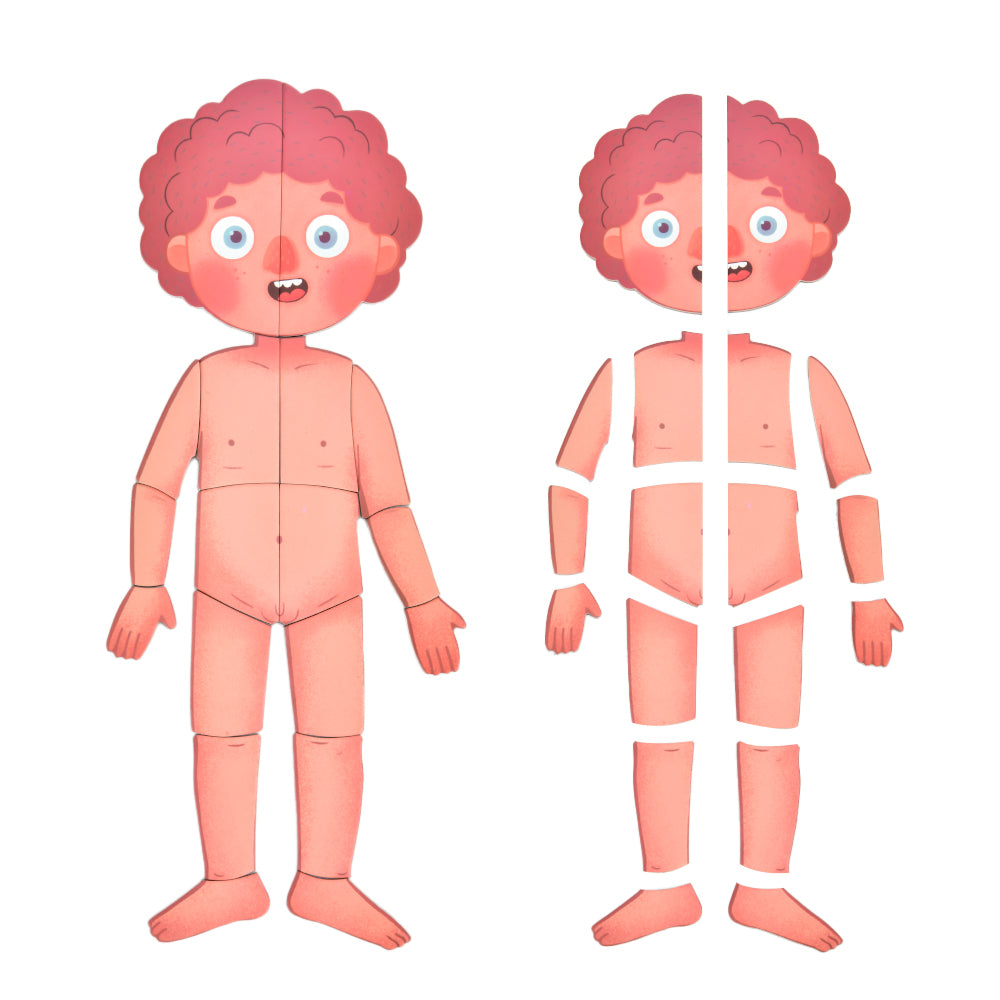 Mideer - Magnetic Body Puzzle - Kids Anatomy Learning Activity