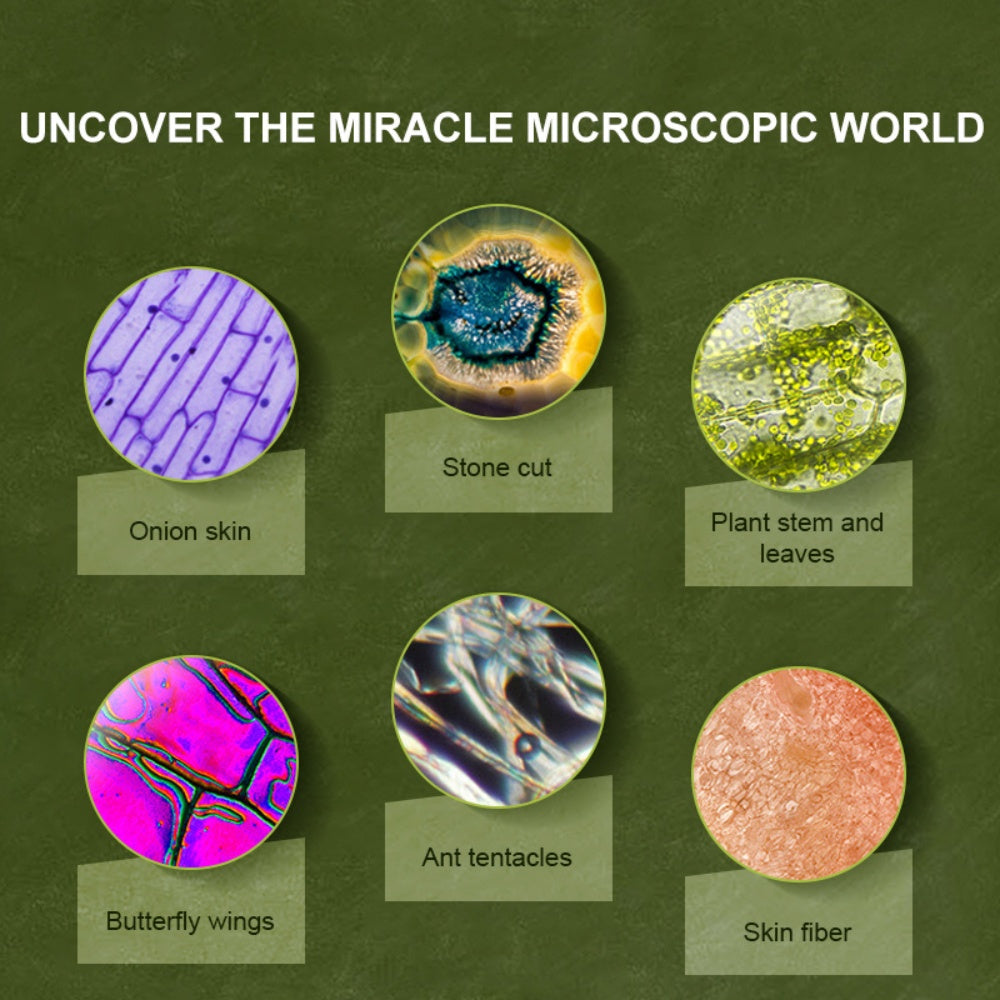 Mideer - Exploring With Microscope - Handheld and Standing Microscope for Kids