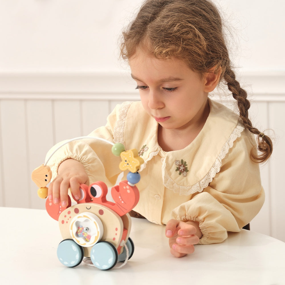 TookyToy - Wooden Pull Along Crab Bead Maze Toy