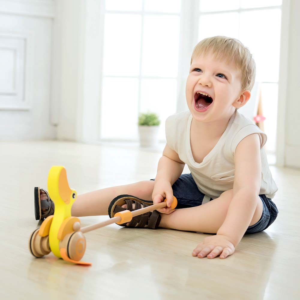 Classic World - Pull & Push Toy - Duck