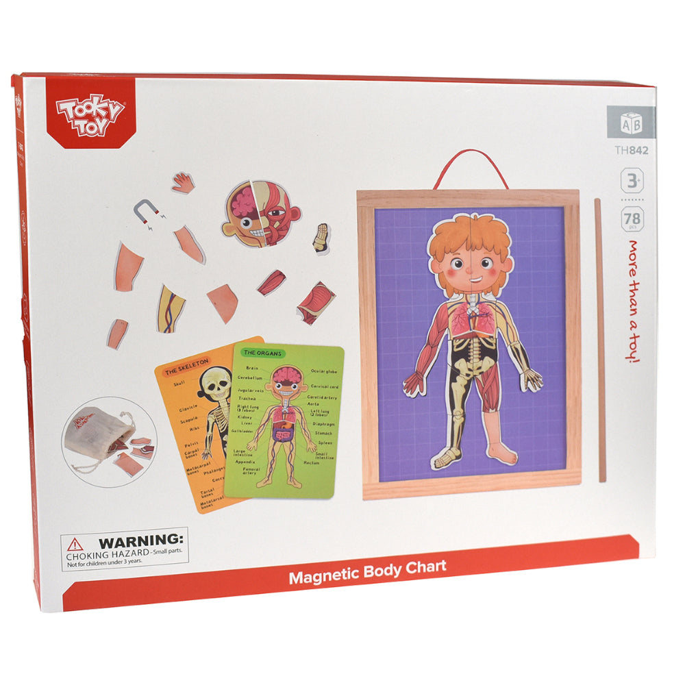 TookyToy - Body Magnetic Chart
