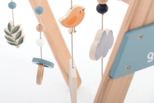 Grow Baby Play Gym - Motherhood