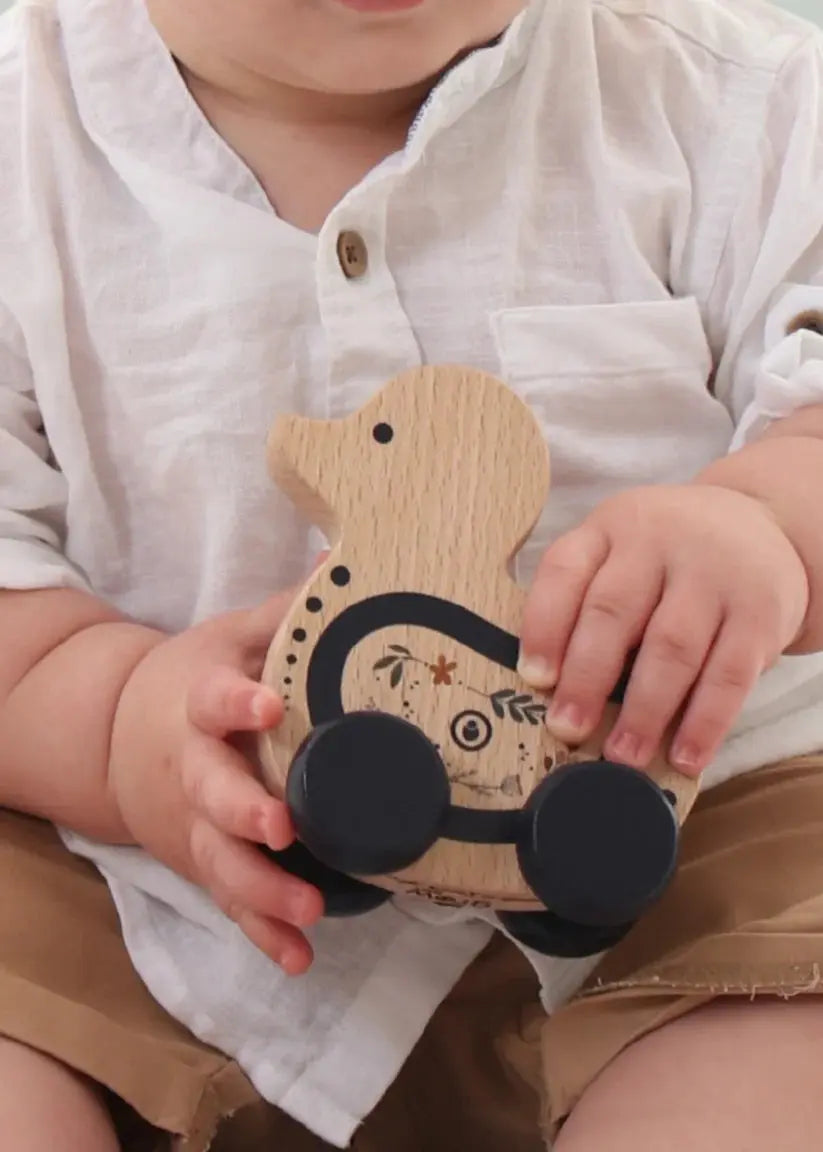 Little Greyton Wooden Push Toys – Handmade in South Africa Grow Baby