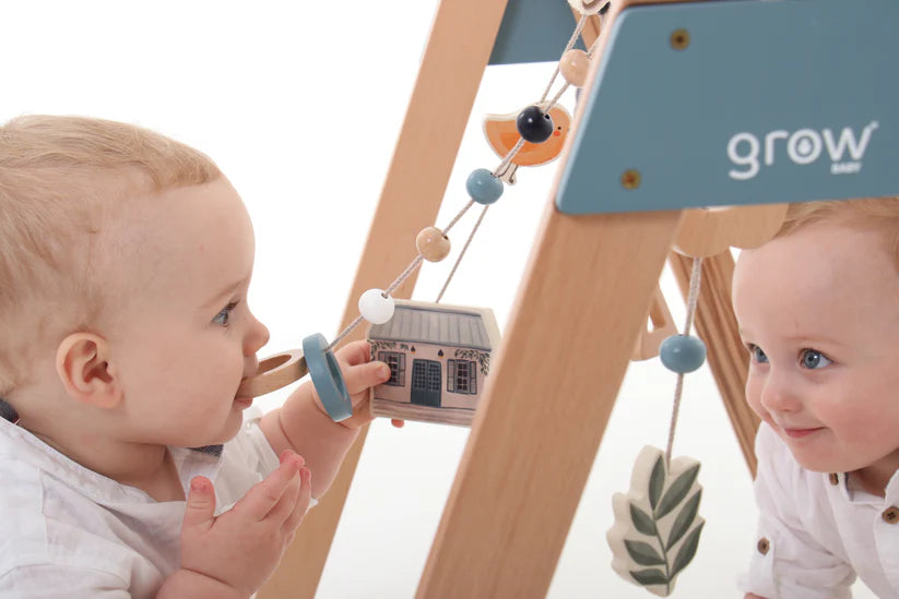 Grow Baby Play Gym - Motherhood